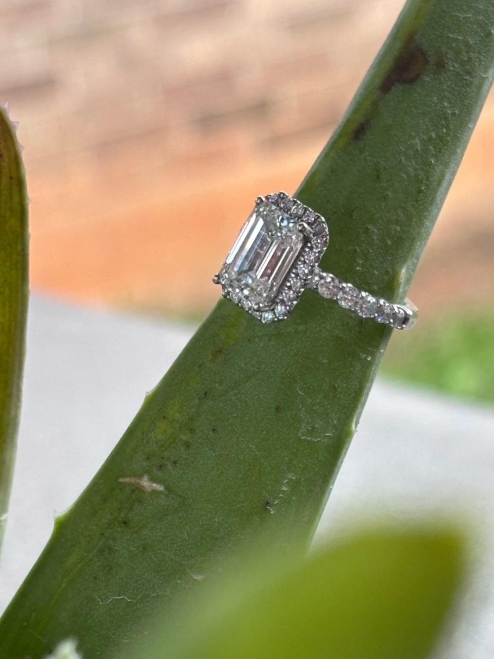 Kay Jewelers Emerald-Cut Halo Ring set in 14 karat white gold